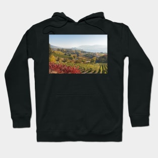 Naramata Bench Vineyard View Hoodie